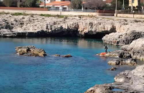 Il Campo Blu - Foto 52