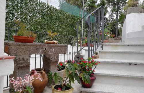 Appartamento Bouganville - Foto 22