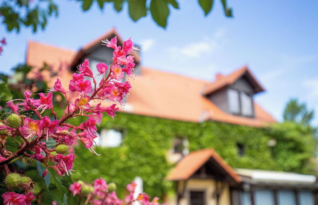 Kastanienhof Erfurt - Foto 74