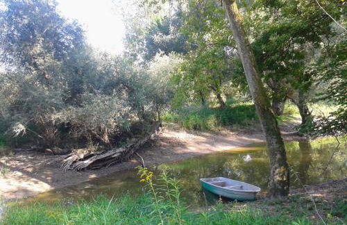 70qm Wohnung, 76771 Hördt, Naturschutzgebiet, Rheinland-Pfalz - Foto 22