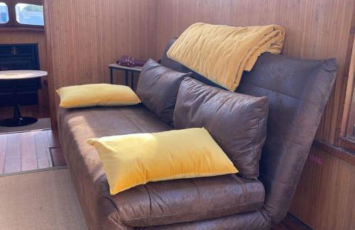 L'Amazone - bateau à quai sur le canal de bourgogne - Foto 8