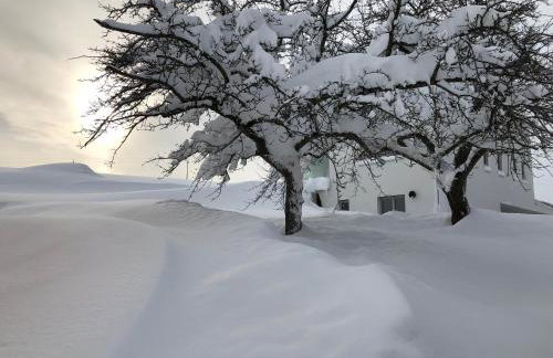 Ferienwohnung AllgäuLiebe in Oy-Mittelberg - Foto 25