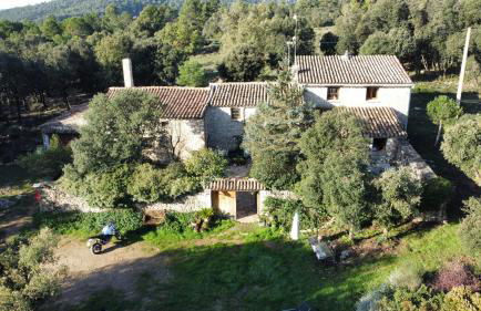 Masiadenjust - Foto 2