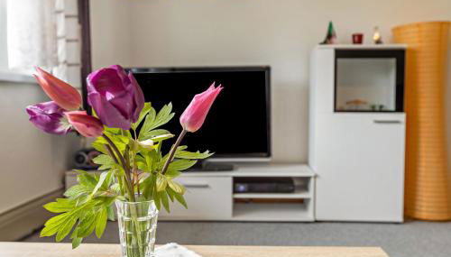 Wiesenblick - Photo 3