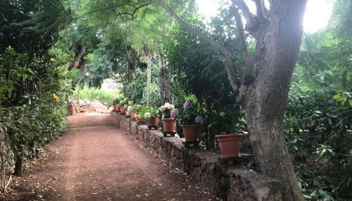 Finca El Vergel Rural - Foto 3