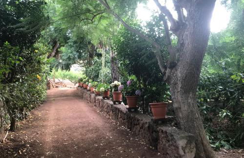 Finca El Vergel Rural - Photo 3