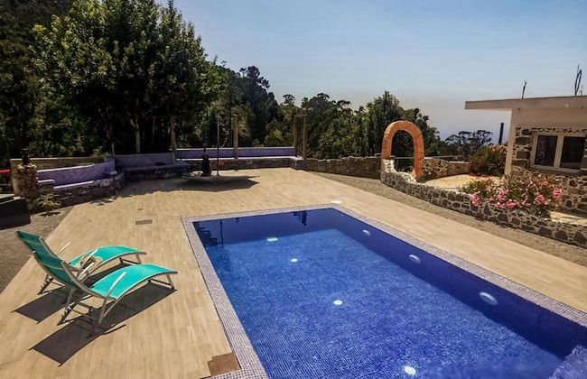 Casas Maravilha - Rvore by Homie - Foto 4