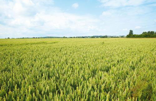 Furlong Barn - Foto 15