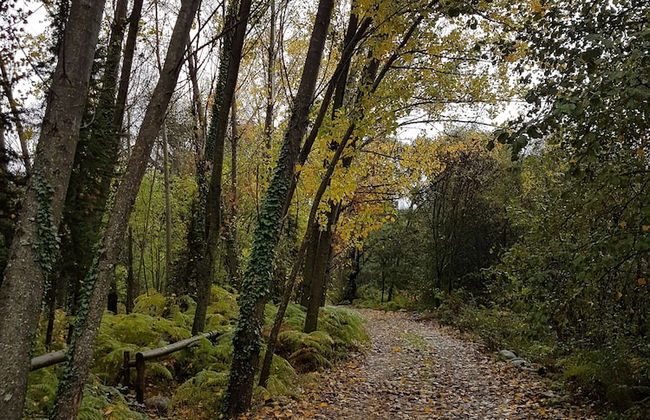 El Atalanto - Foto 9