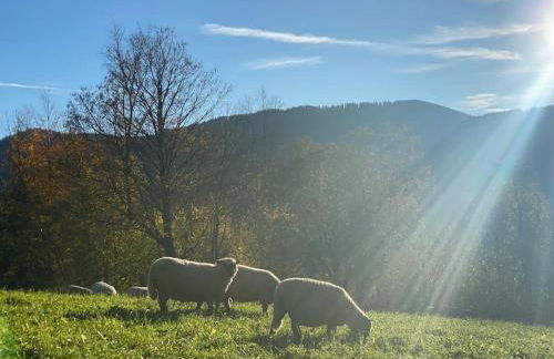 Casa Natur Pur, 85m2 mit Garten Sauna - Foto 60