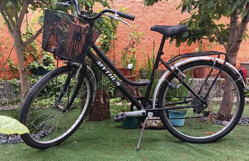 O Cantinho de Góis - Foto 15