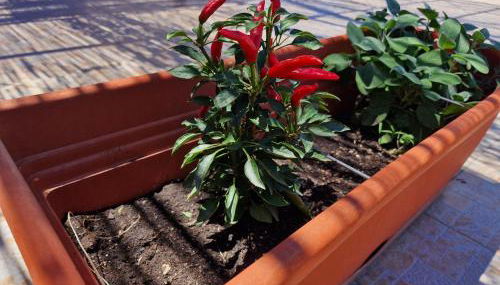 Vento del Sud casa vacanze - Foto 2