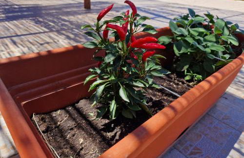 Vento del Sud casa vacanze - Foto 2