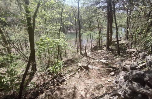 Secluded Lakeview retreat by Eureka Springs-CANOE - Foto 28