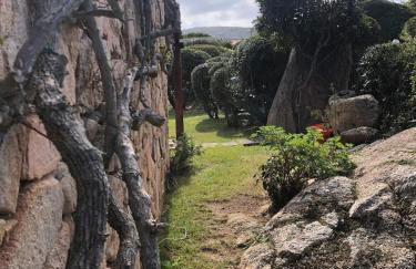 Cute Villa with pool in Palau - Foto 35