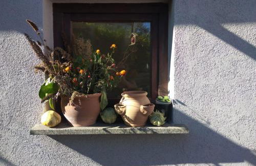 Ferienhaus Badetz - Foto 37