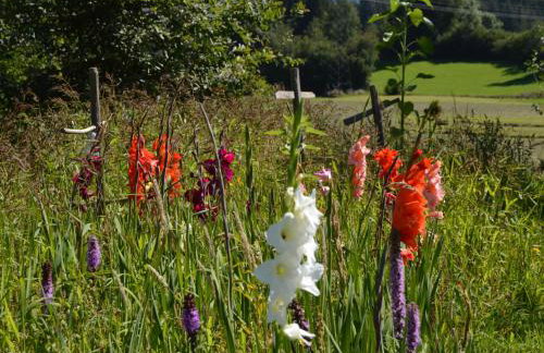 Alex Bergblick - Foto 8