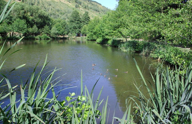 Holiday Apartment Magnolia - Photo 14