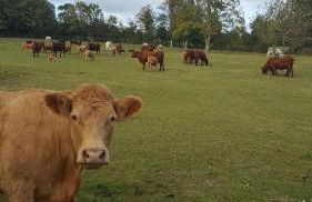 Le Gite de l'Etrier - Foto 13