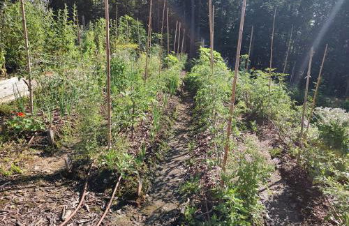 Healing Acres - Foto 37