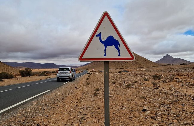 Tour de 2 días por el desierto de El Borj desde Agadir - Foto 16