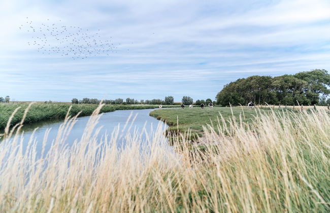 Hoeve Hazegras - Foto 64