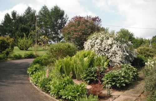 Gîte confortable à Plombières-les-Bains, proche thermes, nature et ski - FR-1-589-194 - Foto 11