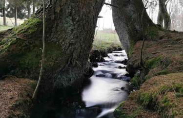 FeWoMonCIAO2019-Panorama 2Pers bis max4Pers - Foto 40
