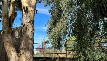 San Diego Trail Guest Ranch - Foto 2