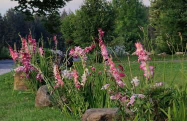 Romantik Unterkünfte Gut Rechetsberg - Foto 42