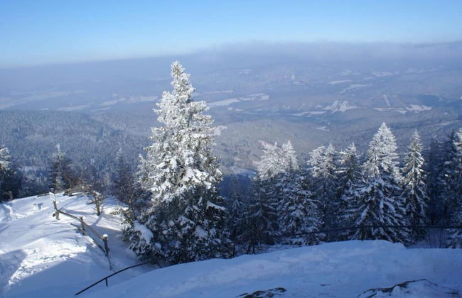 Ruhiges Ferienhaus in Drachselsried in Waldnahe - Foto 35