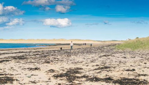 Seaview Cottage - Foto 3