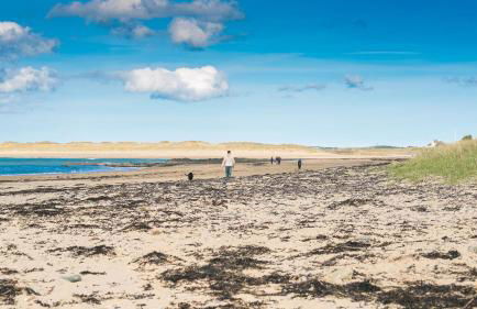 Seaview Cottage - Foto 3