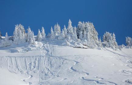 Chez Francine - Photo 21