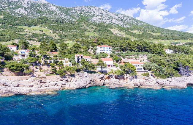 Plavac Mali - Foto 20