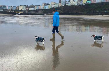 Adorable bedsit for you, partner and your pet! - Foto 51