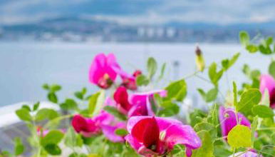 River View Cottage with Hot Tub, nr St Andrews - Foto 3