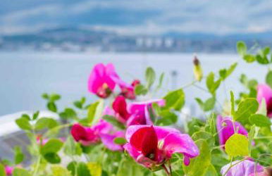 River View Cottage with Hot Tub, nr St Andrews - Foto 3