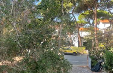 Villa Il boschetto - Foto 10