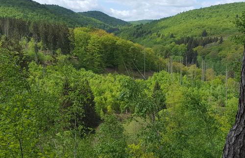 Ferienwohnungen Finke - Foto 28