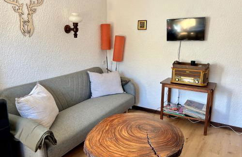 Urige Berghütte mit Kamin und Sauna im Erzgebirge nahe Schwarzwassertal - Foto 13