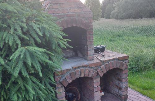 Storchenwiese Wald Meer Natur - Foto 7