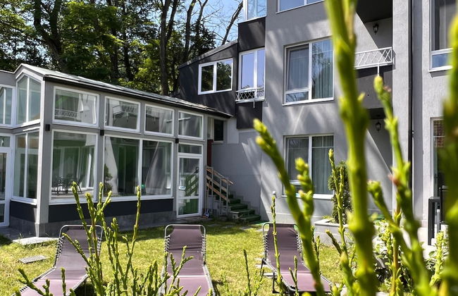 Premont Guesthouse Bran - Foto 30