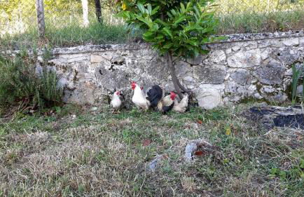 Casa ai piedi del monte Camicia - Photo 29