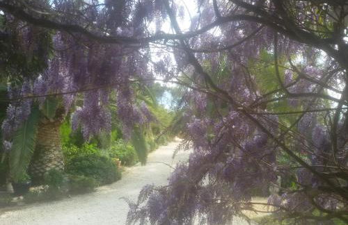 Villa Amadeus Xabia - Foto 15