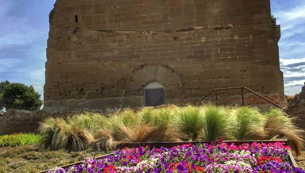 Tour in Lleida - Photo 5