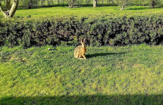 6 Person Holiday Home in Struer-by Traum - Foto 23