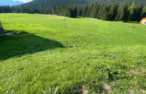 Palazzo Cervesato Appartamento: Maria Luisa - Photo 42