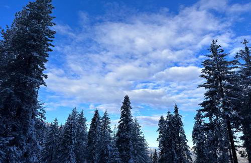 YoBee! Park Reservation Included! Heart of Yosemite - Homey Studios and Breakfast - Foto 58