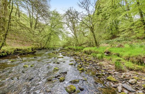 West Hollowcombe Farm Cottages - full site booking - Foto 44